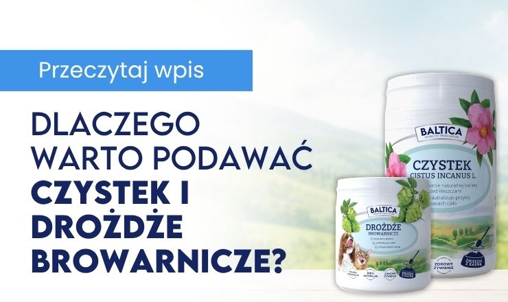 Co zrobić, gdy Twój pupil mówi nie rybie - Blog Baltica